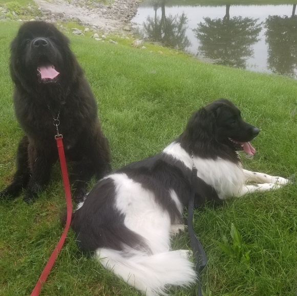 Meet your Posher, Debra - Picture 1 of 1